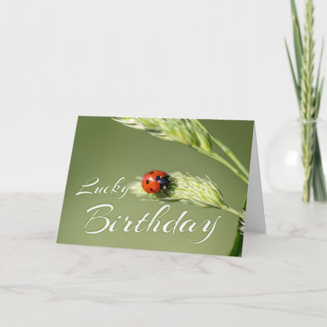 Lucky Birthday with a little ladybug! Card (Front)