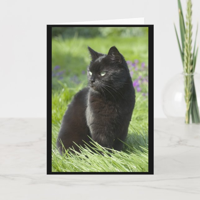Lucky Black Cat Card (Front)