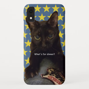 Lucky Black Cat w/Stars iPhone XR Case