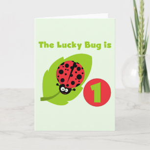 Lucky  Bug 1st Birthday T-shirts and Gifts Card