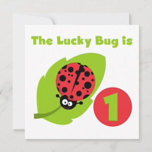 Lucky Bug 1st Birthday T-shirts and Gifts Invitation