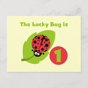Lucky  Bug 1st Birthday T-shirts and Gifts Postcard