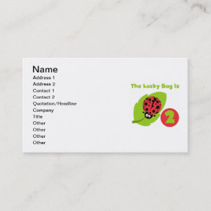 Lucky Bug 2nd Birthday T-shirts and Gifts Business Card