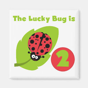 Lucky Bug 2nd Birthday T-shirts and Gifts Magnet