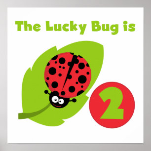 Lucky Bug 2nd Birthday T-shirts and Gifts Poster