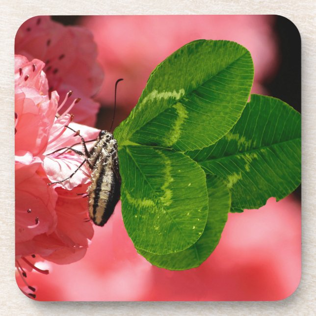 Lucky Butterfly Coaster (Front)
