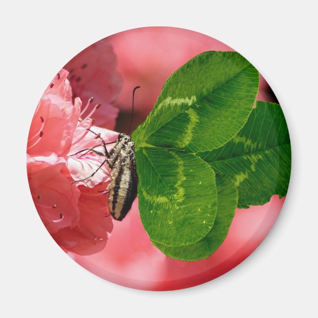 Lucky Butterfly Magnet (Front)