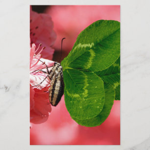 Lucky Butterfly Stationery