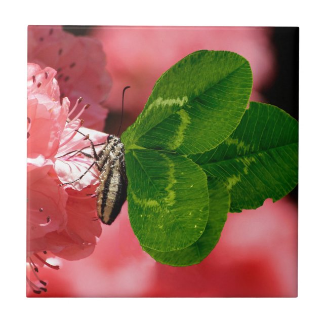 Lucky Butterfly Tile (Front)