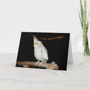 Lucky Card