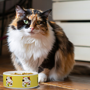 Lucky cat pet bowl