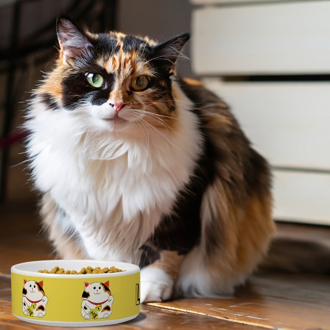 Lucky cat pet bowl (Creator Uploaded)