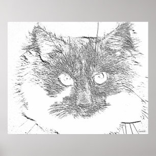 lucky cat poster
