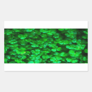 Lucky Celtic Irish Green Shamrocks Sticker