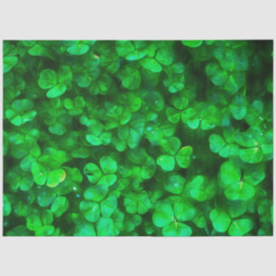 Lucky Celtic Irish Green Shamrocks Tissue Paper