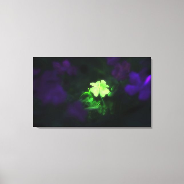 Lucky Charm (Stretched Canvas) Canvas Print (Front)