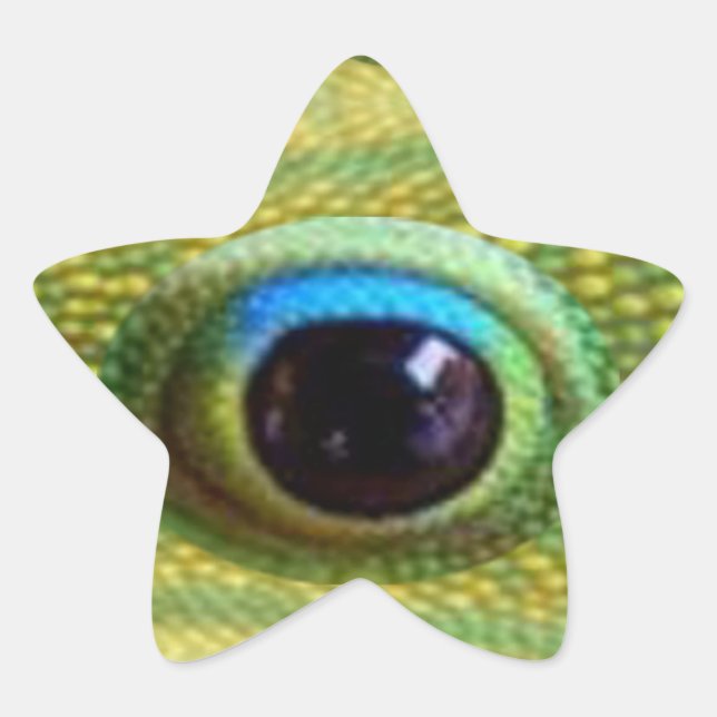 Lucky Chinese Dragon's Eye - WILL KILL EVIL Star Sticker (Front)