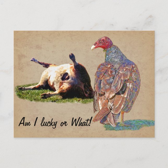 LUCKY DAY POSTCARD (Front)