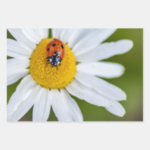 Lucky devil with this ladybug! wrapping paper sheet