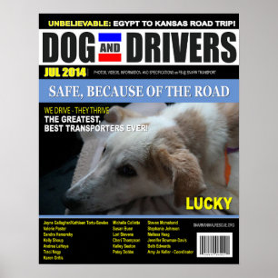 Lucky - Dog and Driver Poster