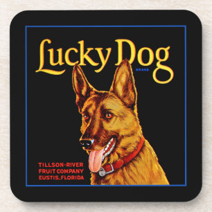 Lucky Dog Coaster
