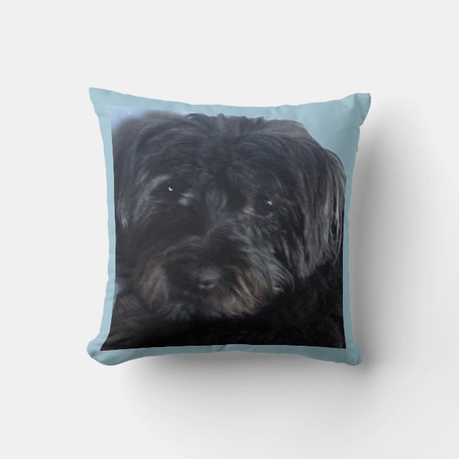 Lucky Dog Throw Pillow (Front)