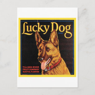 Lucky Dog Vintage Crate Label Postcard