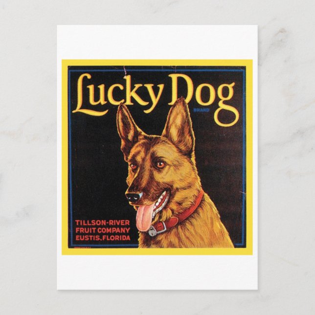 Lucky Dog Vintage Crate Label Postcard (Front)