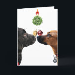 Lucky Dogs Holiday Card<br><div class="desc">To each his own. A fun holiday to celebrate Hannukah,  Christmas,  and New Year

https://www.zazzle.com/lucky_dogs_holiday_card-256840964010976899/
https://cathyhulloriginals.com*</div>