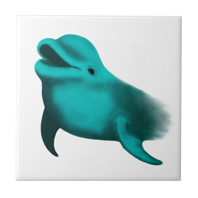 Lucky Dolphin Tile (Front)
