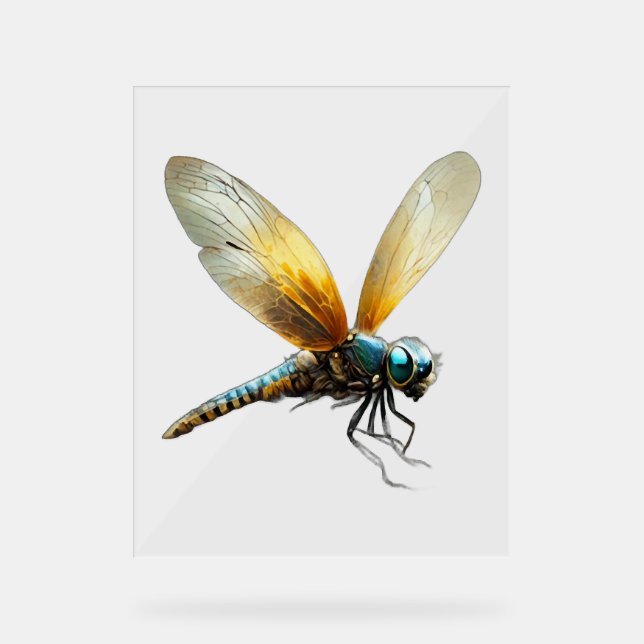 Lucky Dragonfly (Recto)