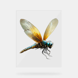 Lucky Dragonfly Acrylic Sign