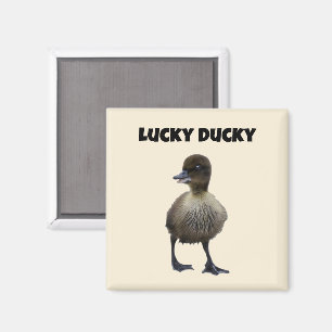 Lucky Duck Funny Cute Duckling Bird Photo Art Magnet