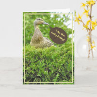 LUCKY DUCKY/GOT YOU FOR A DAD/DUCK ON TOP OF HEDGE