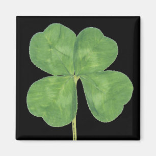 Lucky Four-Leaf Clover Shamrock Magnet