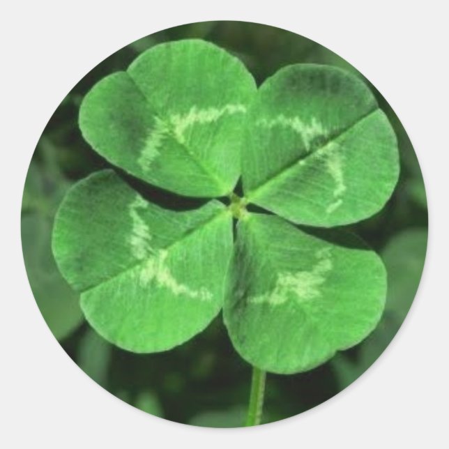 LUCKY FOUR LEAF CLOVER STICKERS (Front)