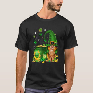 Lucky Gnome U2013 Gnome Hug Abyssinian Cat St Patr T-Shirt