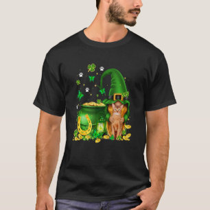 Lucky Gnome U2013 Gnome Hug Abyssinian Cat St Patr T-Shirt