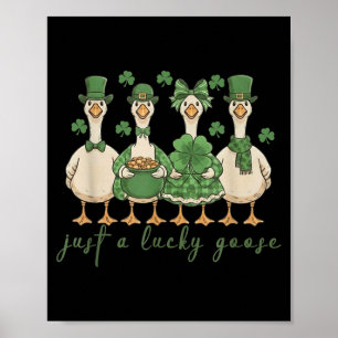 Lucky Goose Patricks Day 2026 Funny Gift Tee Men, Poster