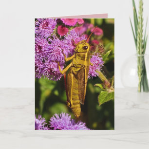Lucky Grasshopper Birthday Card