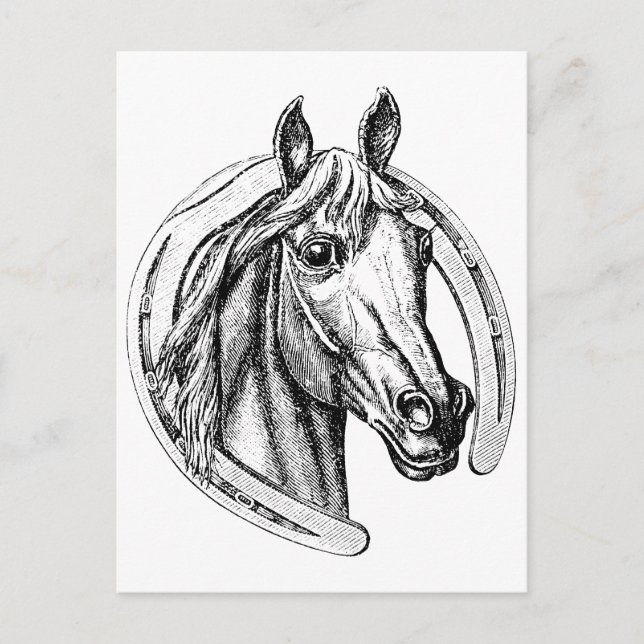 Lucky Horse Postcard (Front)