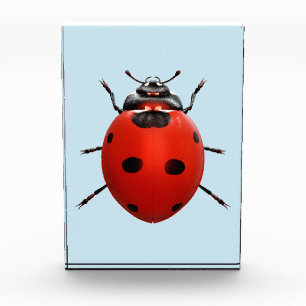 Lucky Ladybug Photo Block