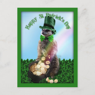 Lucky Meerkat with Pot Of Gold St. Patrick's Day Postcard