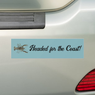 Lucky Ocean Lobster, Nautical Pencil Sketch Bumper Sticker