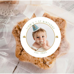 Lucky One Boy First Birthday Photo Stickers - Sage