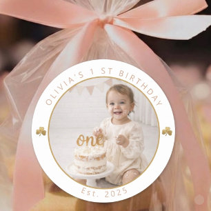 Lucky One Girl First Birthday Photo Sticker