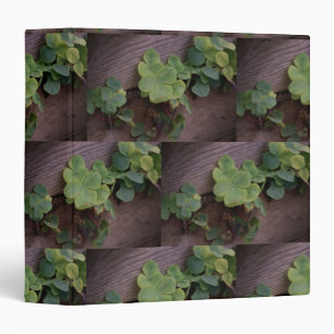 Lucky or Determined? Saint Patricks Day Shamrocks Binder