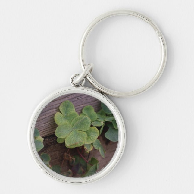 Lucky or Determined? Saint Patricks Day Shamrocks Keychain (Front)