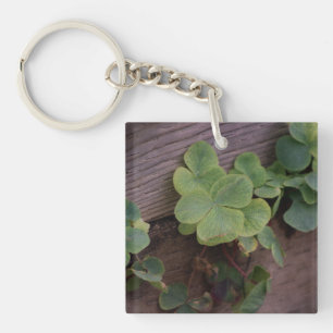 Lucky or Determined? Saint Patricks Day Shamrocks Keychain