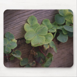 Lucky or Determined? Saint Patricks Day Shamrocks Mouse Pad